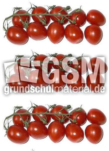Tomaten3x10.jpg